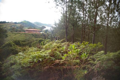 Refugio Natural Guarne