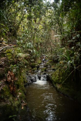 Refugio Natural Guarne