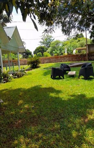 Dormis in 도스 데 마요