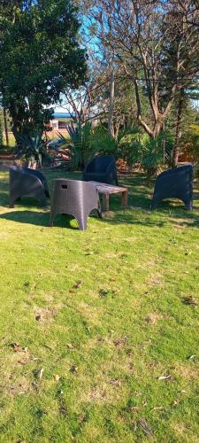 Dormis in 도스 데 마요