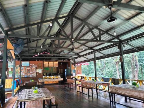 Borneo Jungle Adventure in Kota Kinabatangan