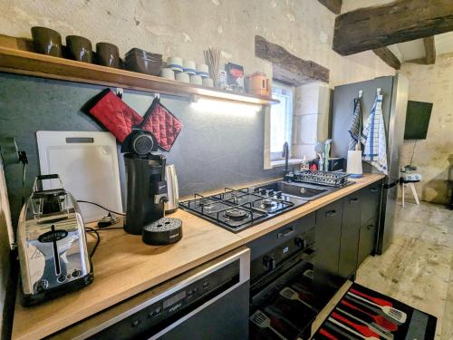 Gite en Berry: terrasse couverte, ping-pong, pres Zoo de Beauval et Chateau de Valencay - FR-1-591-6 in Vicq-sur-Nahon