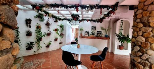 Attrezzature e servizi, Mia Nueva Gorgona in Nueva Gorgona