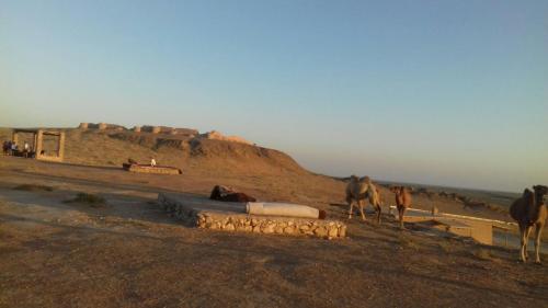 Nearby attraction, Ayazkala yurt camp in Urgench