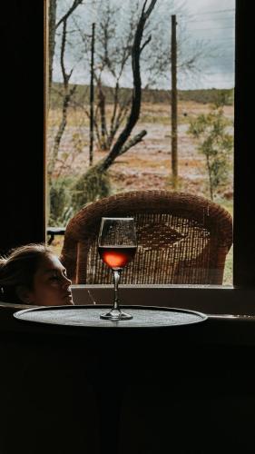 De Cango Farm, Oudtshoorn (fotografie 7)