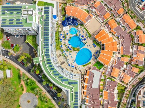 HOVIMA Atlantis - image 12