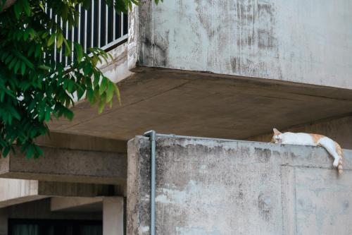 ザ ライト イン17