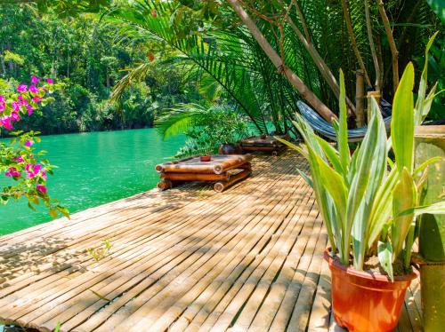 Water to Forest Ecolodge in Loboc