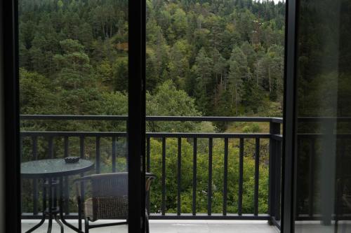 Kilátás, Eikon Apartments Abastumani in Abastumani