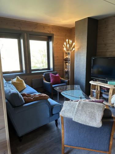 sala de TV, Kozy apartment in Hemsedal, centrally located in Hemsedal