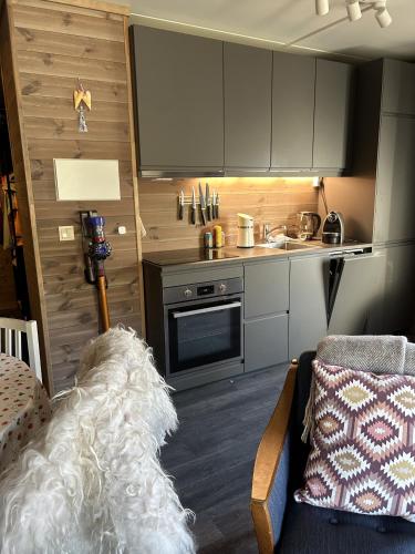 Cocina, Kozy apartment in Hemsedal, centrally located in Hemsedal