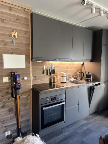 Cocina, Kozy apartment in Hemsedal, centrally located in Hemsedal