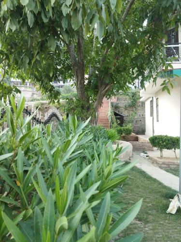 Antara - A Boutique Villa By Shivaneel Hospitality, Chail, Chail (zdjęcie 9)