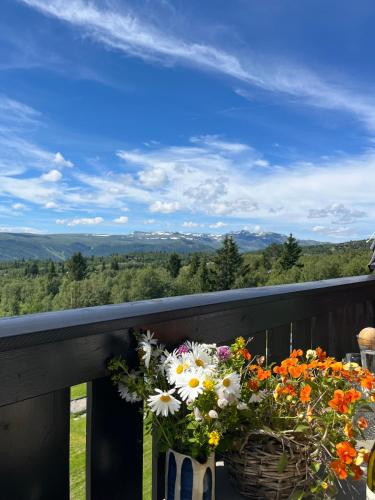 View, Ideal Family Retreat With 3 Bedrooms in Beitostolen