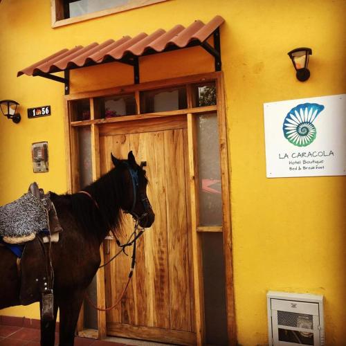 Hotel La Caracola Salento
