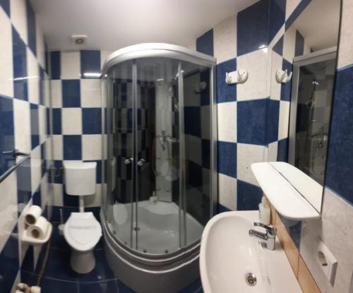 Pensiunea Bendorfeanu - image 9