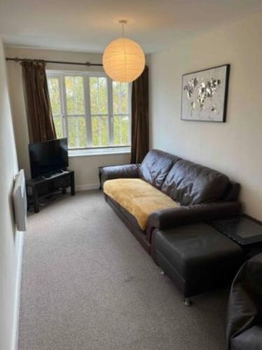 Picture of Serene 3-Bed Apartment - Park Views & Walking Distance To Royal Stoke Hospital