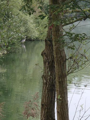 สภาพแวดล้อมโดยรอบ, BnB Confort in แซ็ง-ตาม็อง-มงรงด์