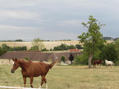 Ferme Historique Jean De La Fontaine et ses chambres d'hôtes Hammam-Spa - 4 étoiles