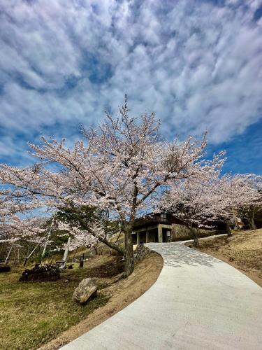 小豆島プライベートキャンプサイト, Šódošima (fotografie 10)