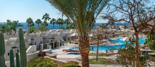 Reef Oasis Beach Aqua Park Resort - image 3
