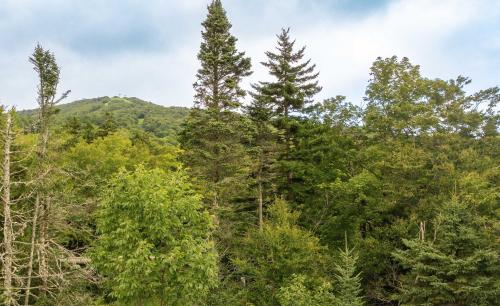 Newly Renovated Trailside Perch on Bromley Mountain in Peru, USA