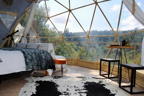 設施, Soul Forest GeoDome - Off-grid Nature Escape in 卡拉塔拉
