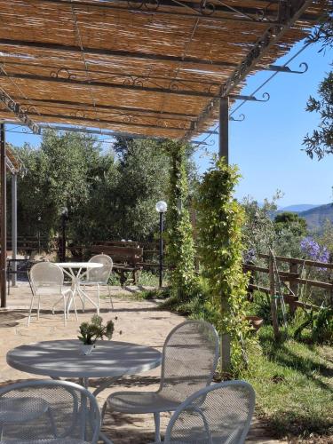 Tenuta Belvedere Cilento 5