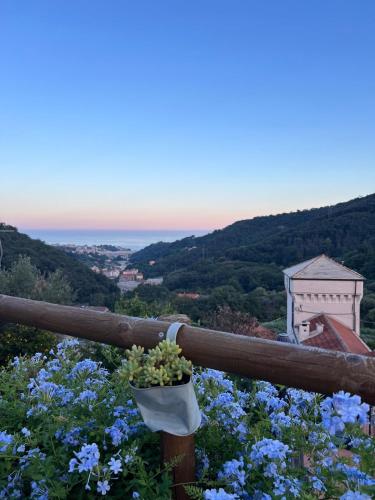 Il RosAle a Celle Ligure 1