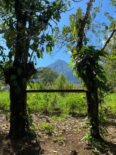 Cabaña Rincón Verde - La Fortuna, Fortuna (photo 9)