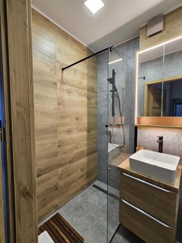 淋浴間, Apartament Radiostacja III z ogródkiem, parking free (Apartament Radiostacja III z ogrodkiem, parking free) in 格利維采市中心