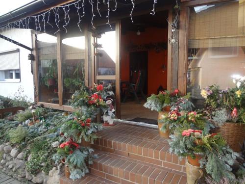 Erkély/terasz, Alteschule15 in Unterspreewald