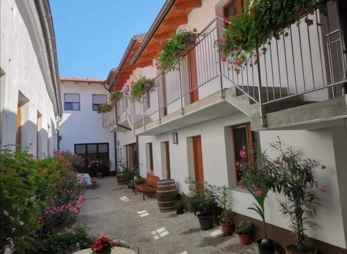 Weinhauerhof Pasching-Klinglhuber in Langenlois, Österreich