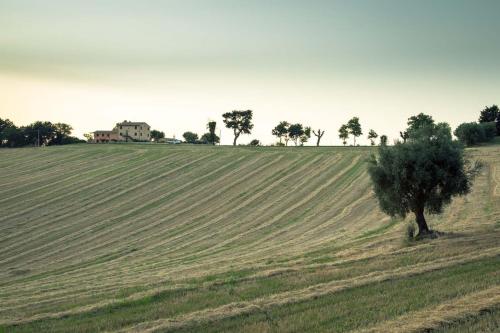 Casa Vacanze Angelica