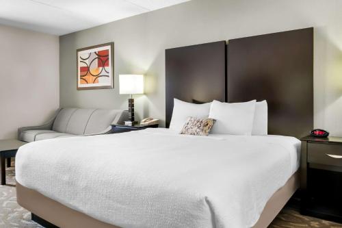 1 king bed, 1 sofa bed