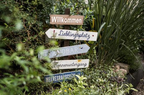 myNext - Sommerhotel Wieden - image 3
