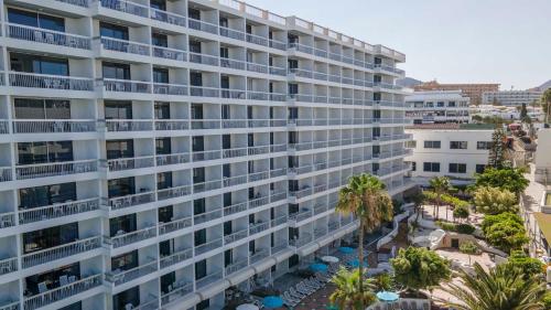 Palm Beach - image 10