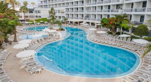 Palm Beach - image 11