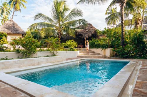 Vistas, Hekaya Zanzibar in Michamvi