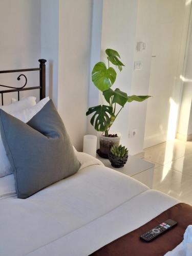 San Vincenzo Rooms Room Type - Large Double Room