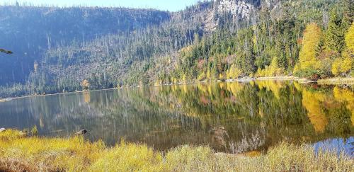 Buitenkant, Ferienwohnung Breit - Kirchdorf in Kirchdorf i. Wald