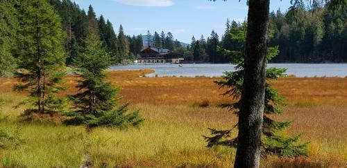 Buitenkant, Ferienwohnung Breit - Kirchdorf in Kirchdorf i. Wald