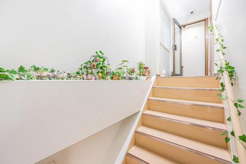 Bright Modern Airbnb in Tokyo's Northern District