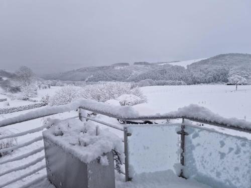 Fewo-Eifel-Morsbach - main image