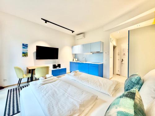 Möblierte Wohnung mit Terrasse, Viena (foto 9)