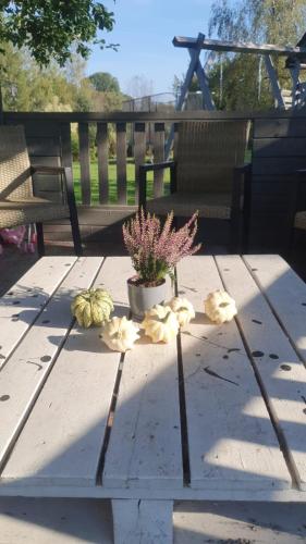 Divstavu maja Gulbene in Gulbene