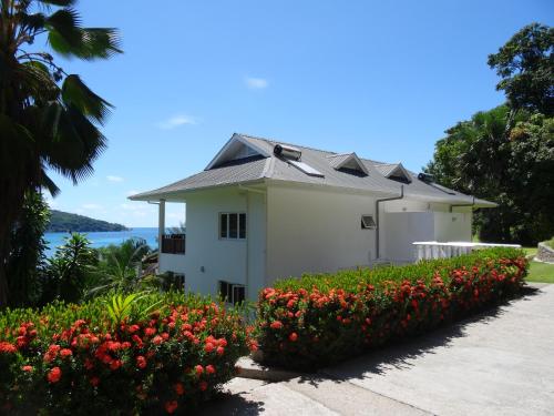 فيلات سيلفيش بيتش فيلات سيلفيش بيتش