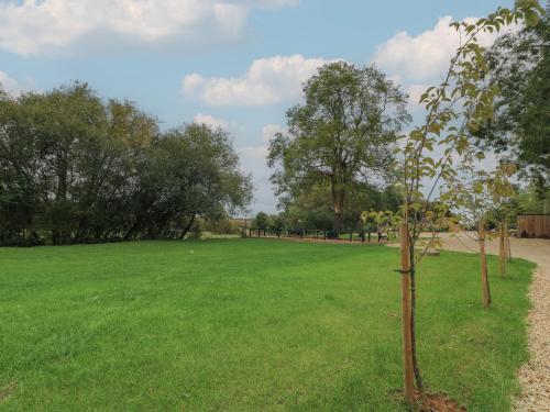 Bee Hive, Oakham (fotografie 9)
