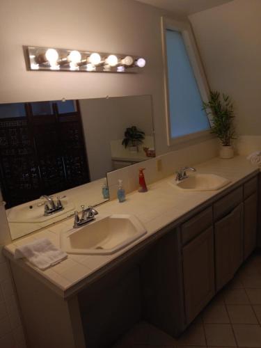 Rocket City's Original Space Dome - image 9