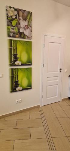 Palanga Apartaments - Mickevičiaus 8 - image 4